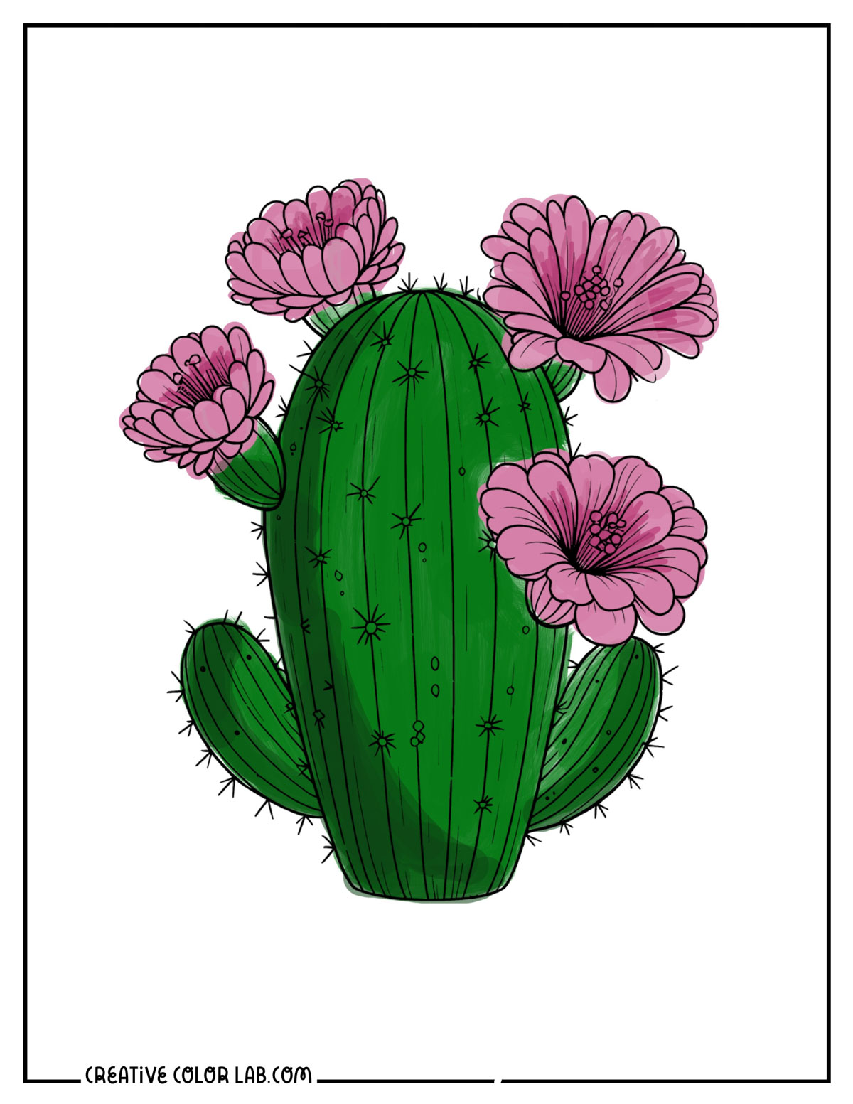 A cactus flower coloring sheet filled in digitally using Procreate.