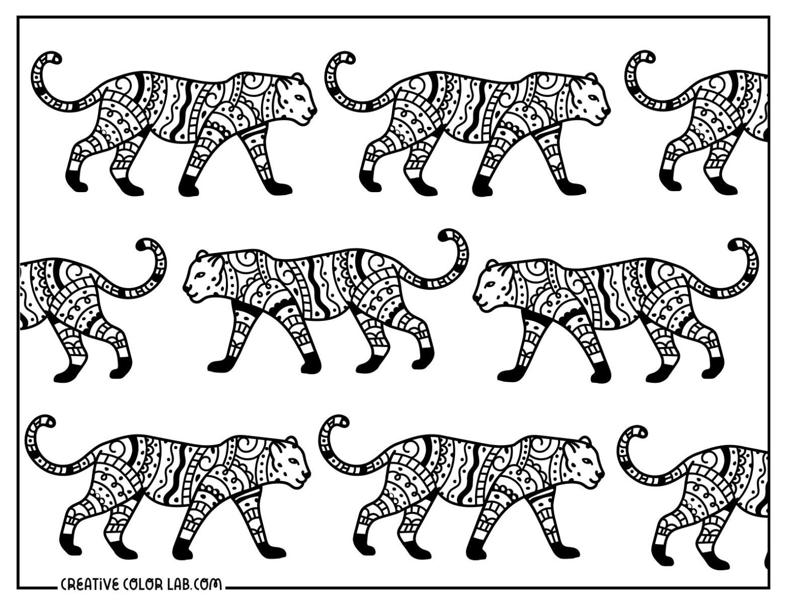 Cheetah Coloring Pages | Free, Printable PDFs