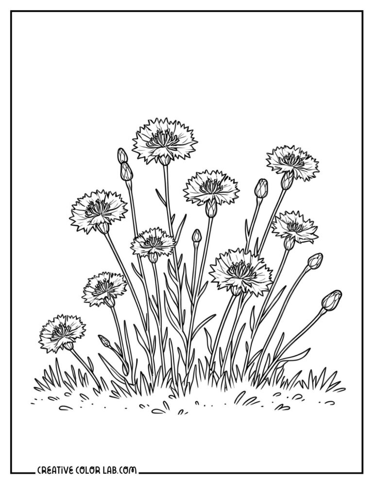 37 Flower Coloring Pages | Free, Printable PDFs