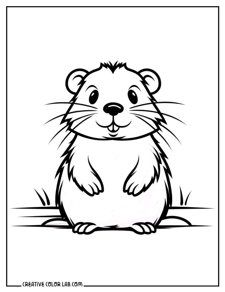 Free Beaver Coloring Pages to Print
