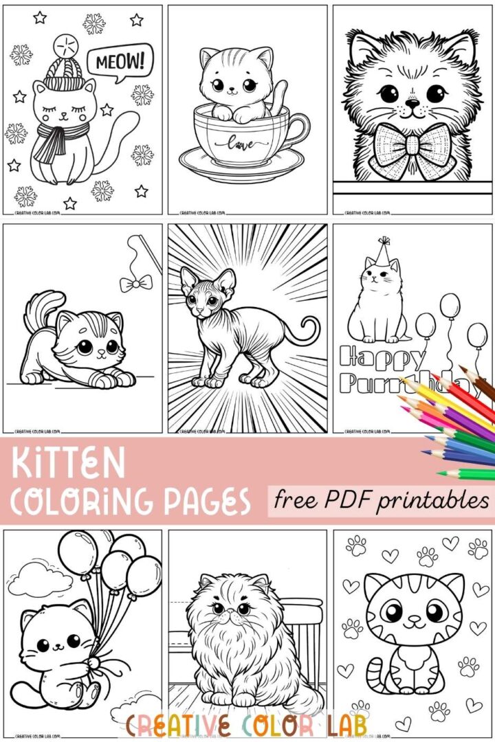 21 Kitten Coloring Pages | Free PDF Printables