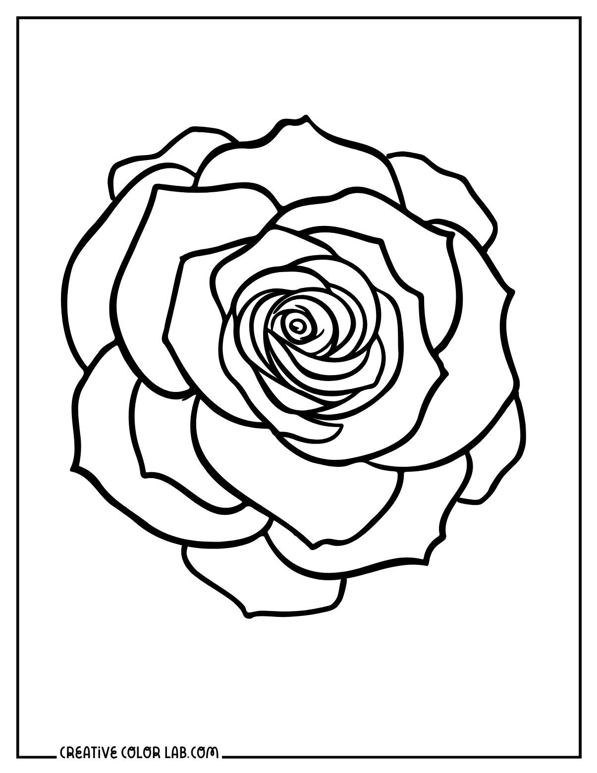 Large rose bloom coloring page for kids.