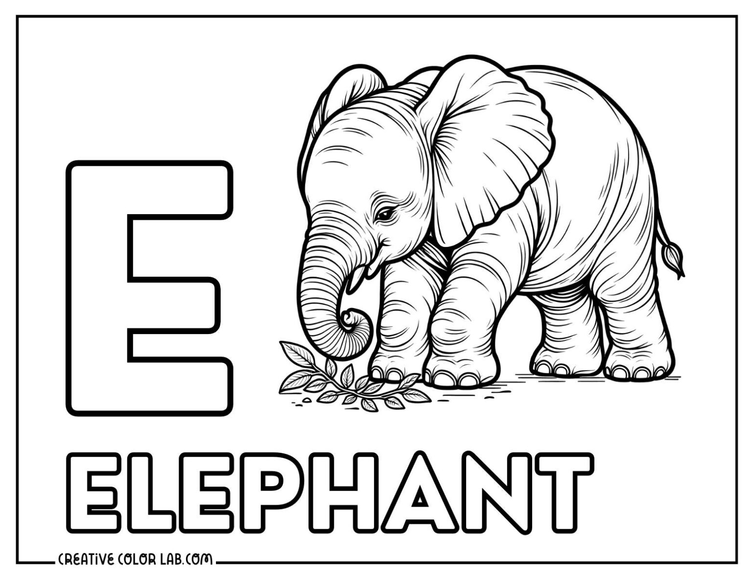 Printable Elephant Coloring Pages | Free PDFs to Download