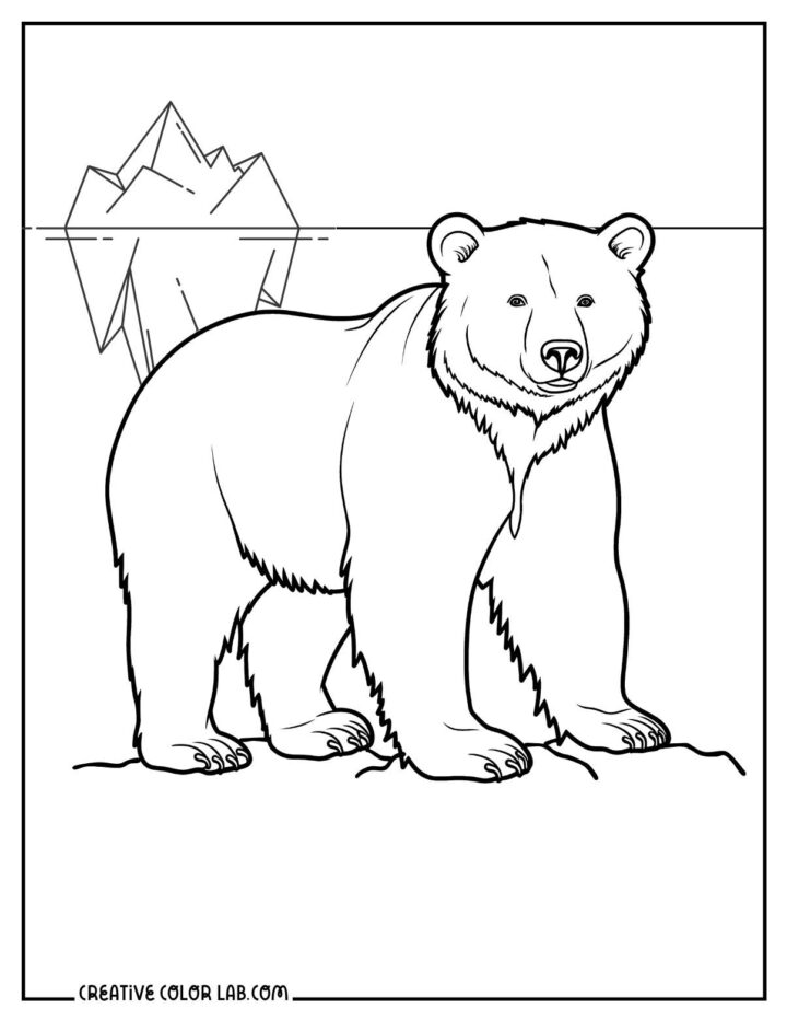 17 Bear Coloring Pages | Free PDF Printables