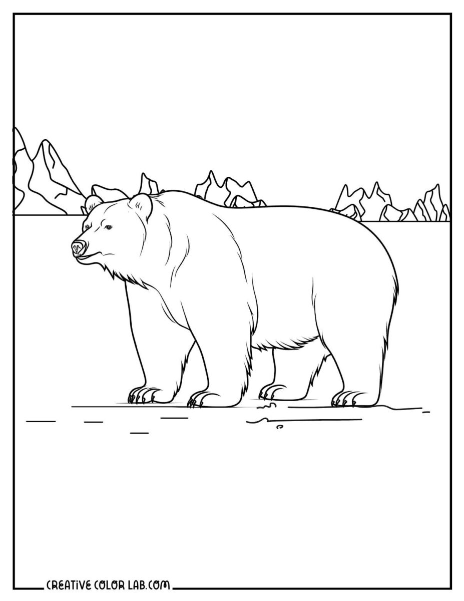 Free Polar Bear Coloring Pages | Printable PDFs