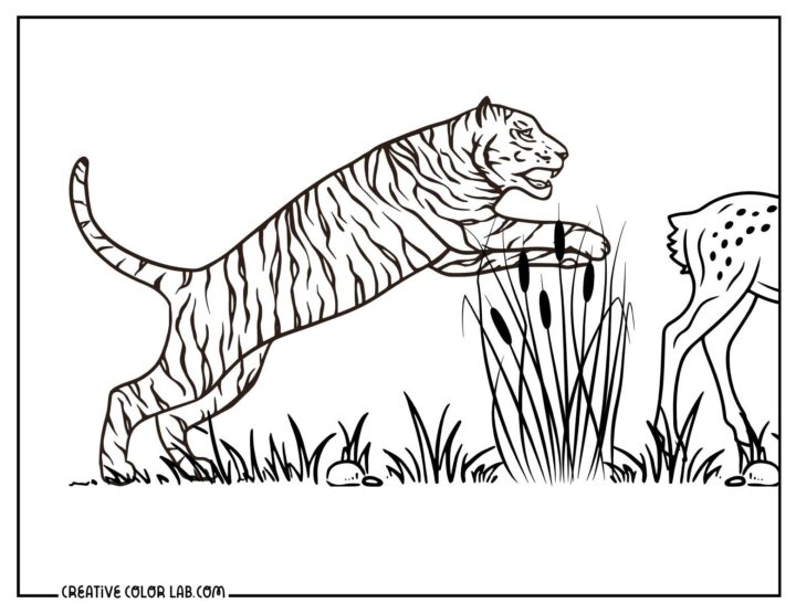 16 Tiger Coloring Pages | Free PDF Printables