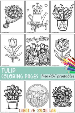 13 Tulip Coloring Pages | Free PDF Printables