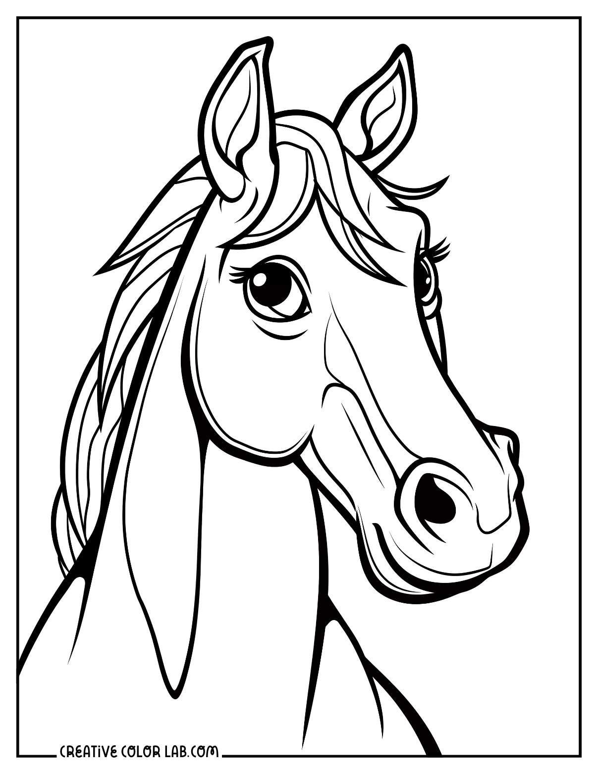 Beautiful female horse illustration to color.