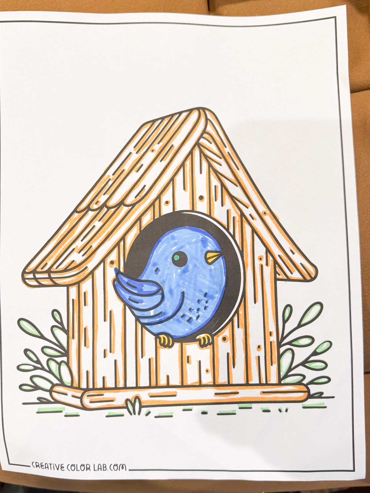 A bird inside a bird house colored with a pen.