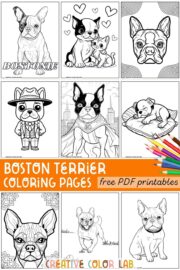 10 Boston Terrier Coloring Pages | Free PDF Printables
