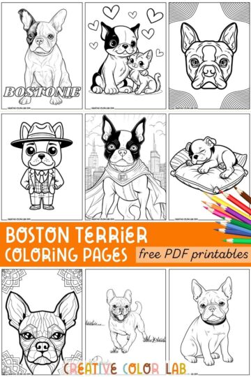 10 Boston Terrier Coloring Pages | Free PDF Printables