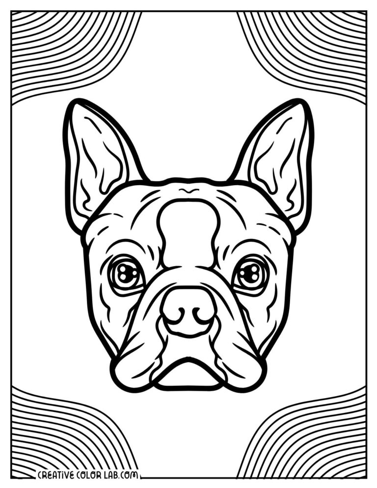 10 Boston Terrier Coloring Pages | Free PDF Printables