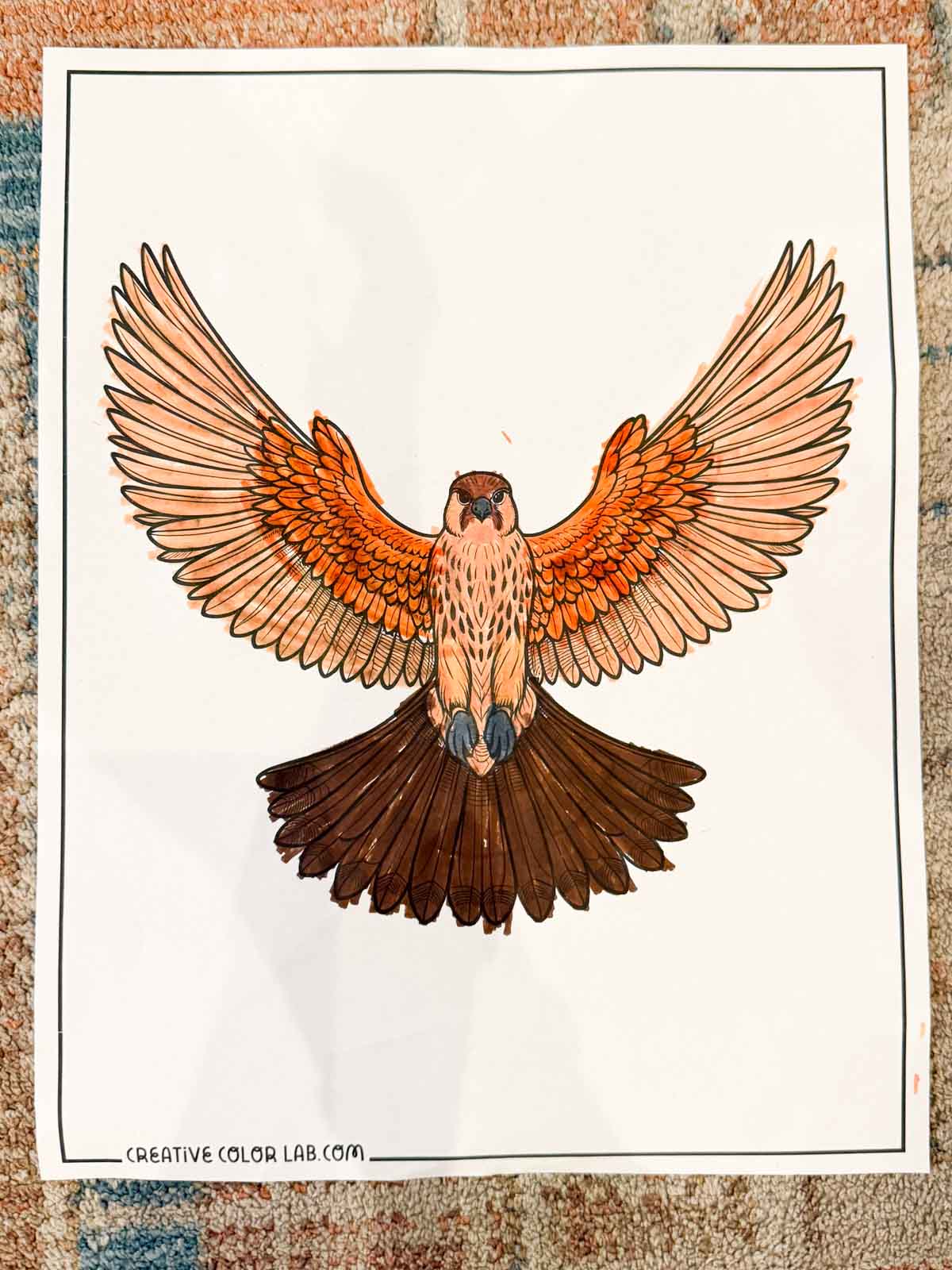 Finished bird coloring sheet.