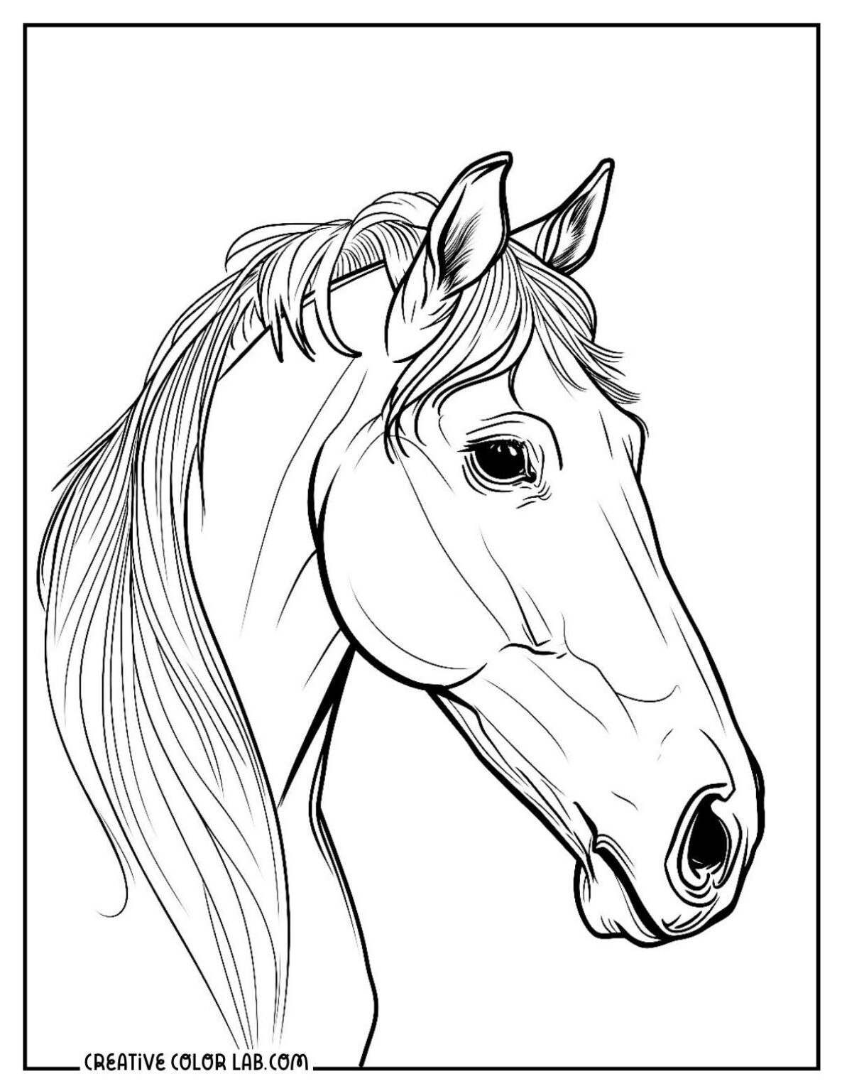 14 Horse Coloring Pages Free PDF Printables