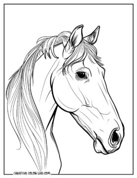 14 Horse Coloring Pages | Free PDF Printables