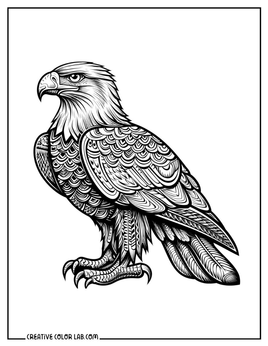 10 Eagle Coloring Pages | Free PDF Printables