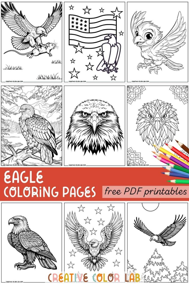 10 Eagle Coloring Pages | Free PDF Printables