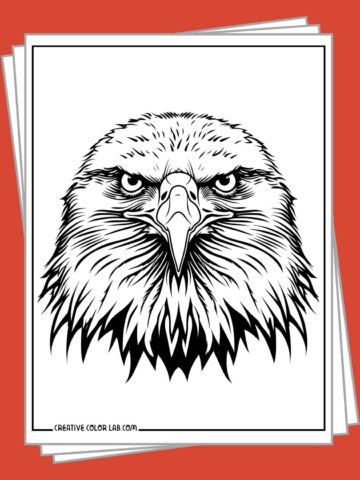 Free printable eagle coloring pages to download.