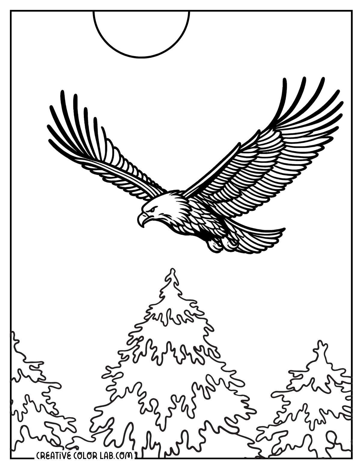 Eagle Coloring Pages