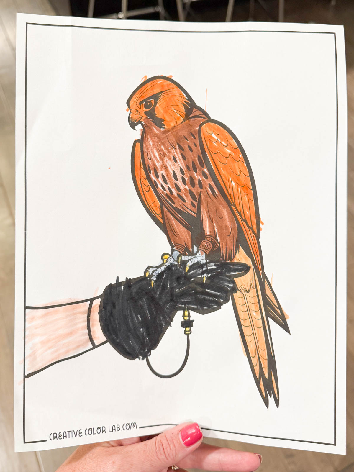 A coloring page of a falcon bird colored in.