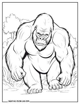 10 Gorilla Coloring Pages | Free PDF Printables