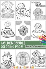 13 Goldendoodle Coloring Pages | Free PDF Printables