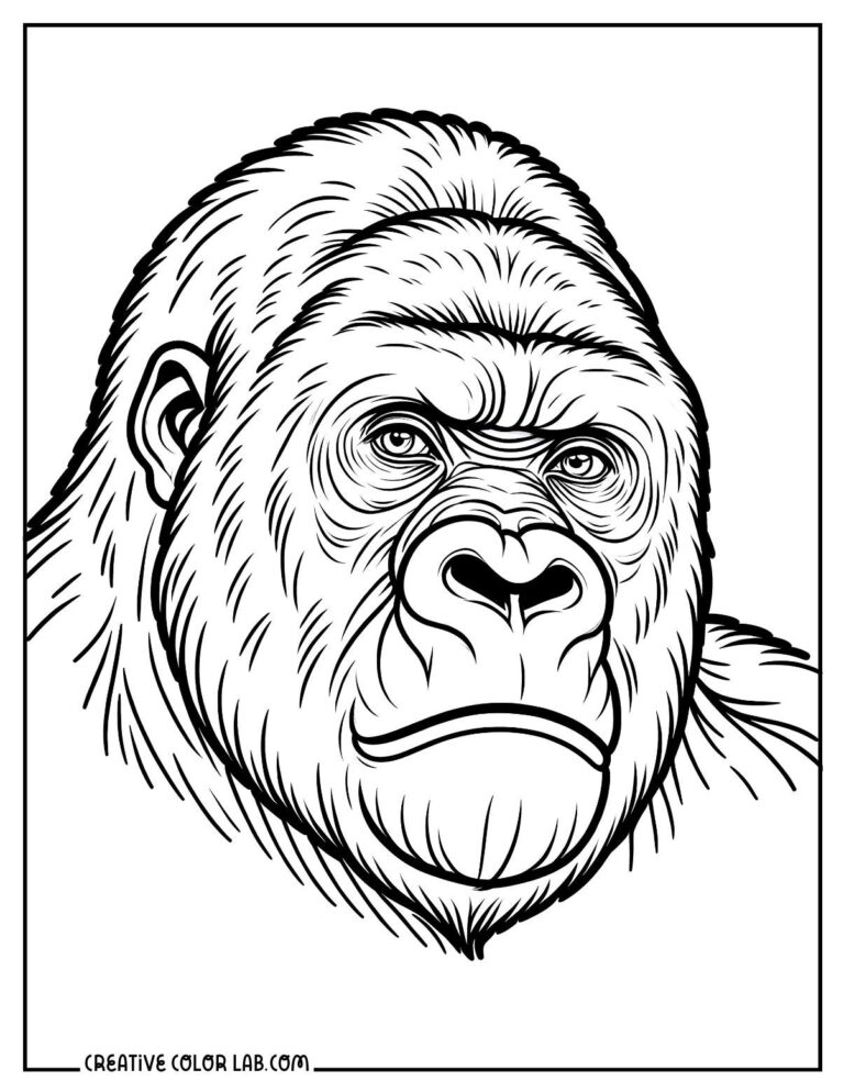 10 Gorilla Coloring Pages | Free PDF Printables