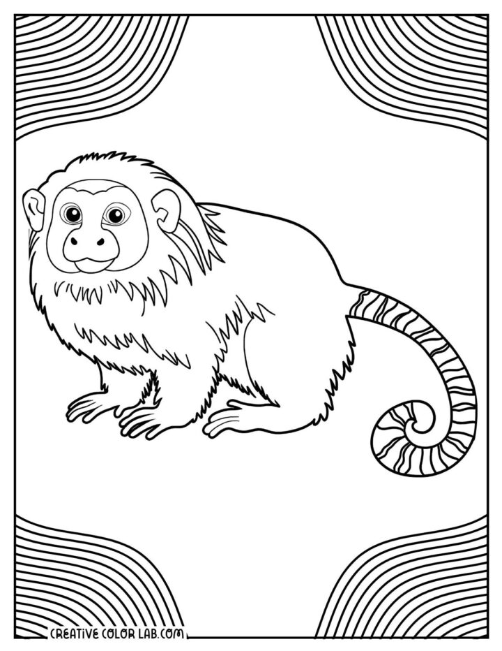 12 Monkey Coloring Pages | Free PDF Printables