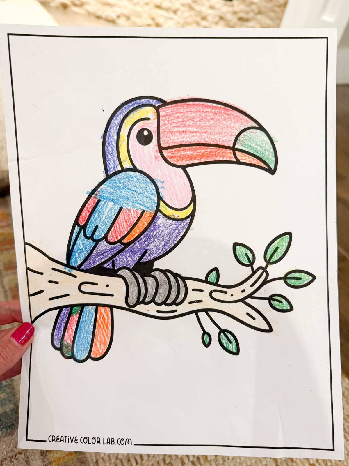 Completed Toucan coloring page.