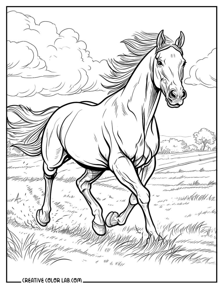 14 Horse Coloring Pages | Free PDF Printables
