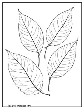 34 Printable Fall Leaves Coloring Pages | Free PDF Downloads