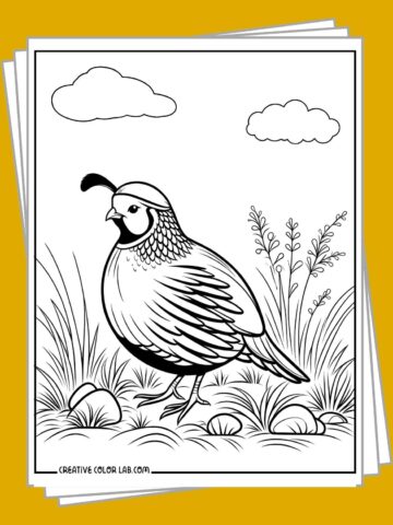 Free bird coloring pages to download.