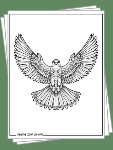 Free falcon coloring pages to download.