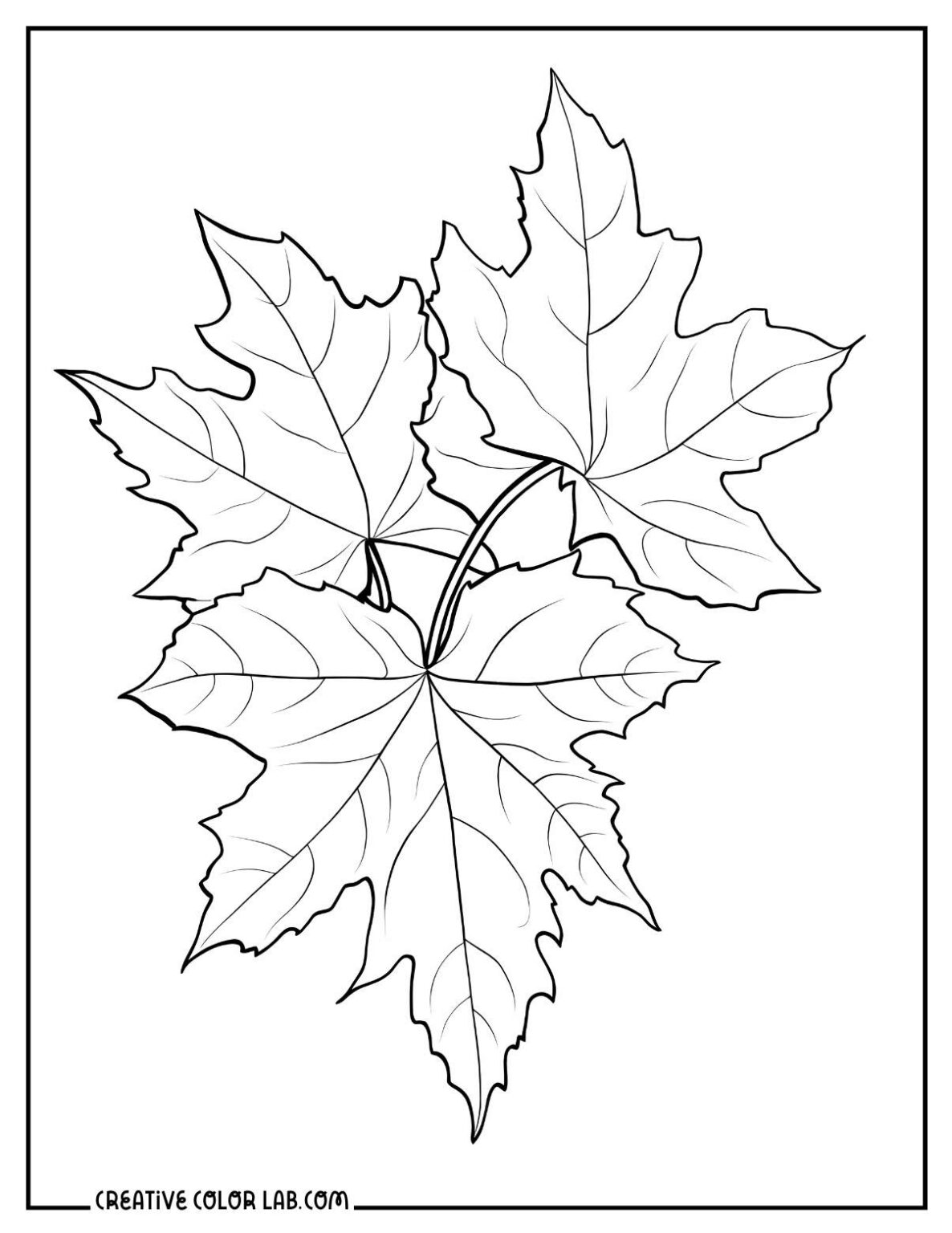 34 Printable Fall Leaves Coloring Pages | Free PDF Downloads