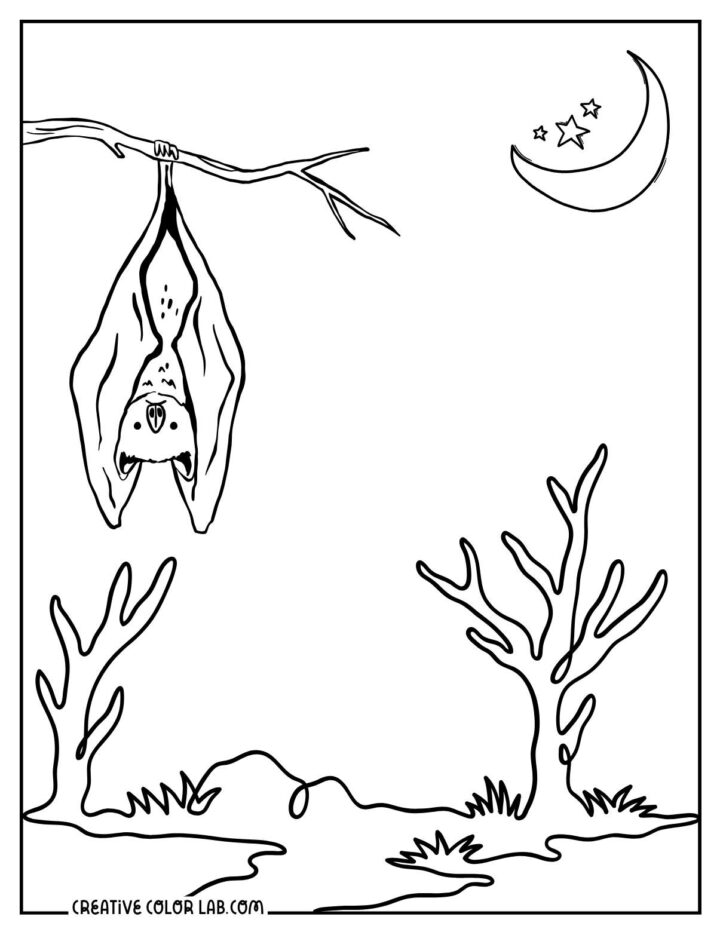 14 Bat Coloring Pages | Free PDF Printables