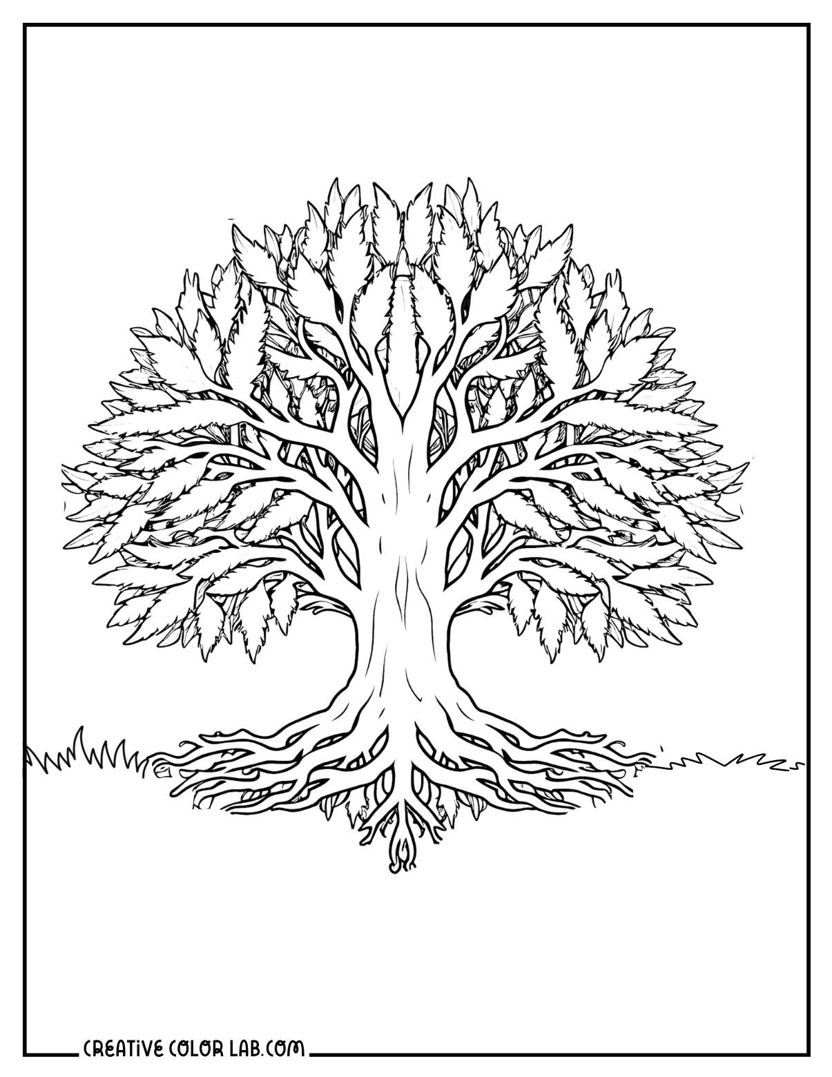 Realistic tree of life coloring page.