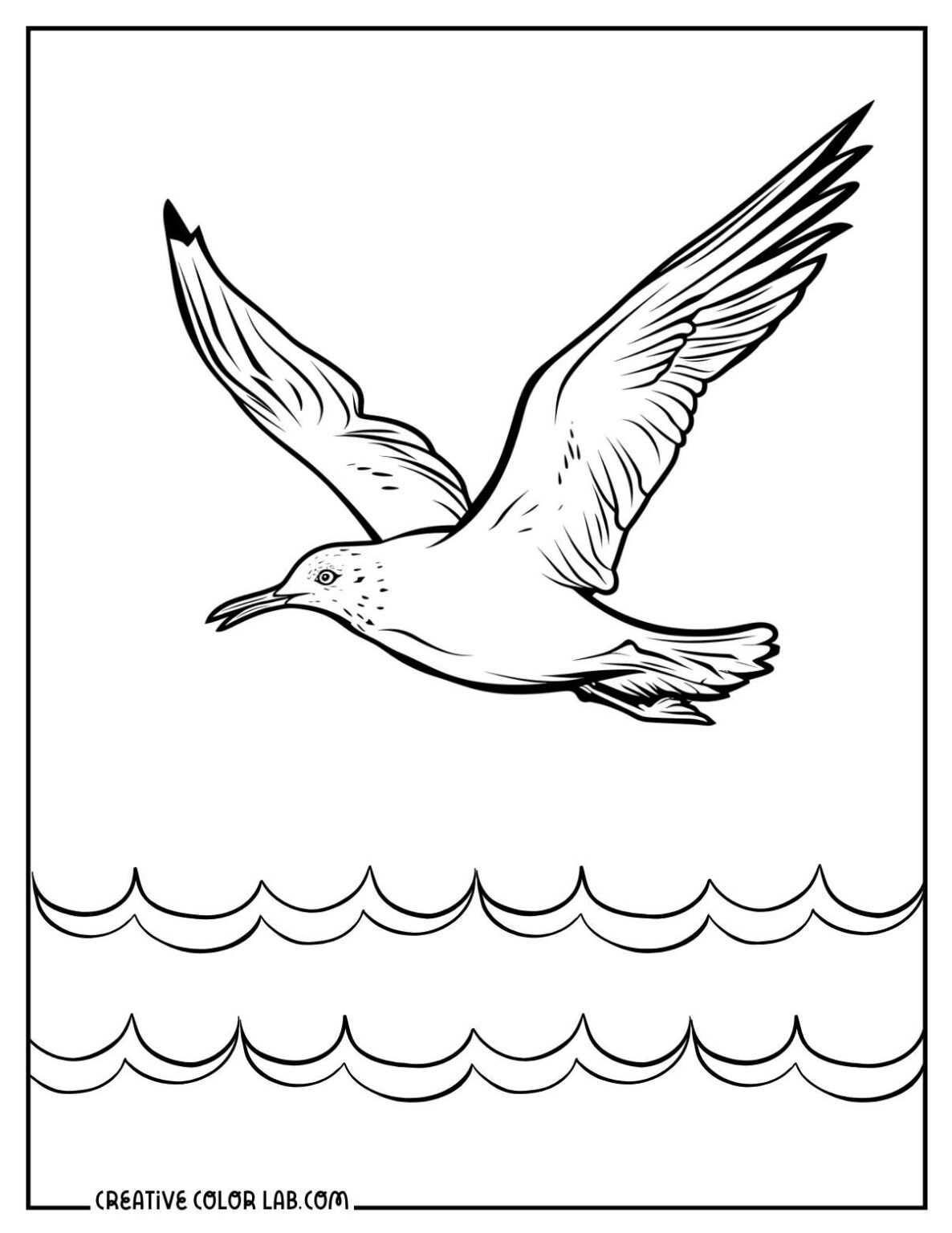 25 bird coloring pages free pdf printables