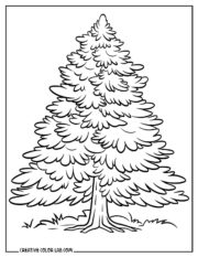 36 Coloring Pages of Trees | Free PDF Printables