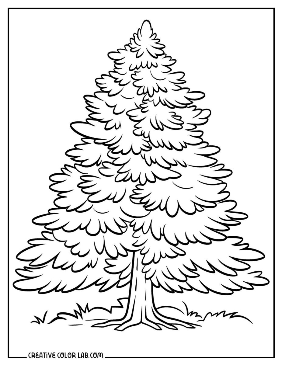 36 Coloring Pages of Trees | Free PDF Printables