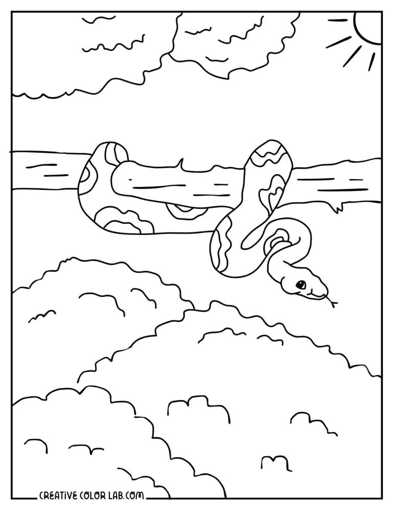 Printable Snake Coloring Pages | Free PDFs to Download