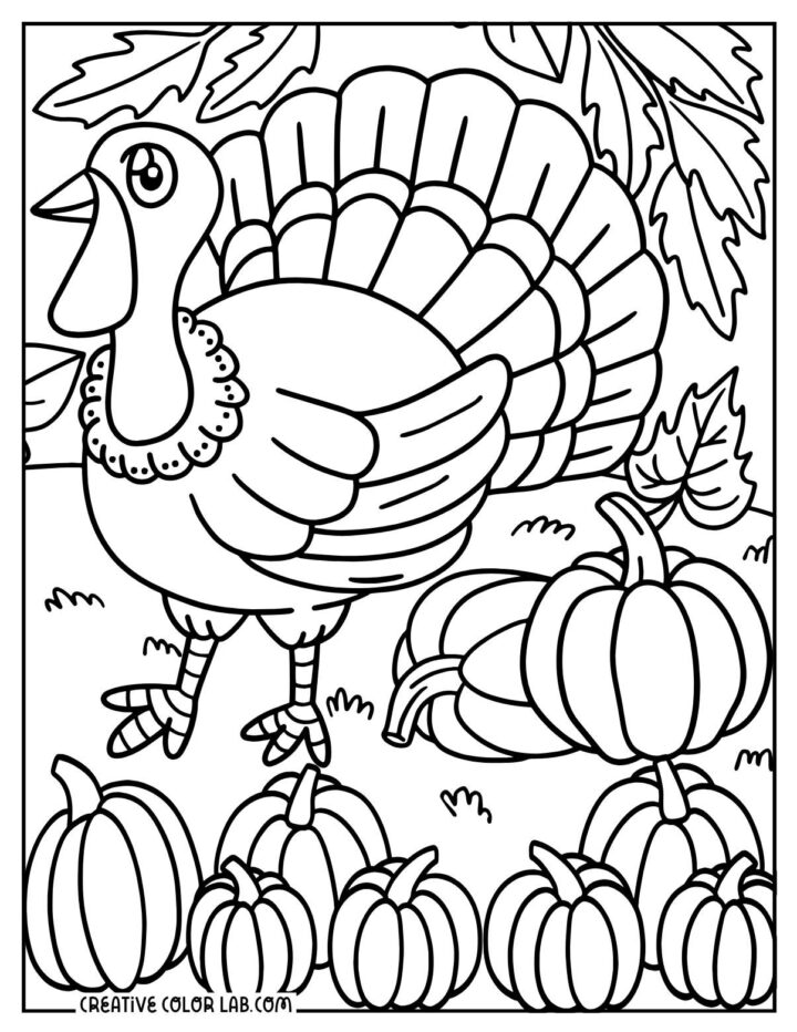 Printable Turkey Coloring Pages | Free PDF Downloads