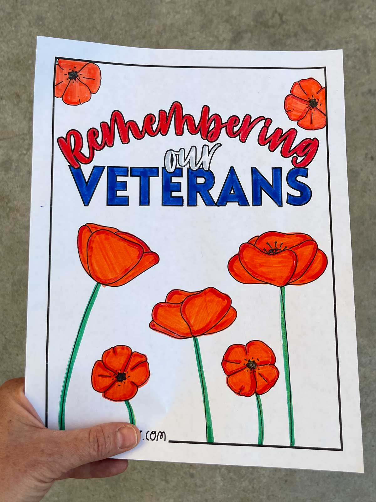 A finished veterans day coloring page.