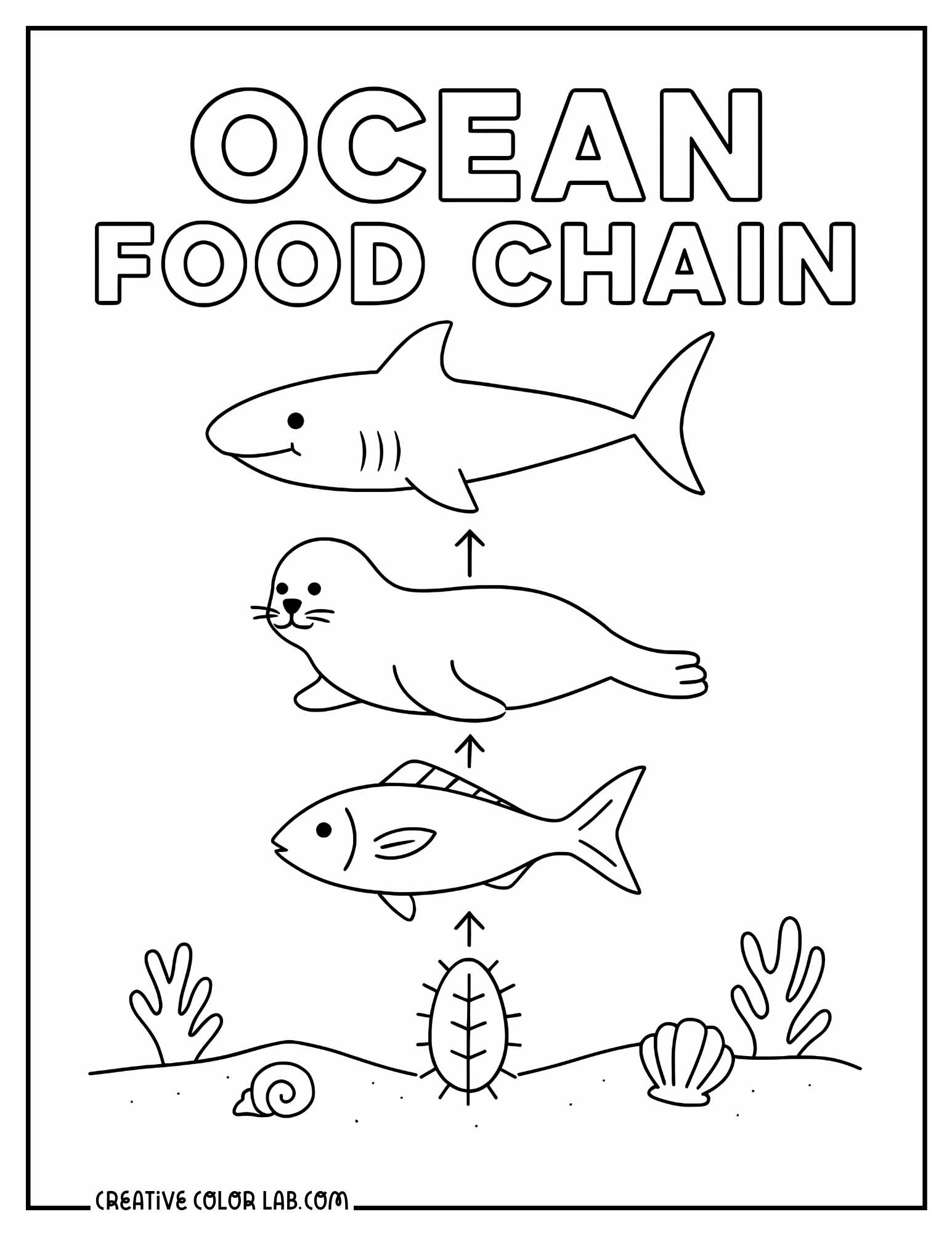 Printable ocean food chain to color.