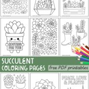 A nine-grid succulent coloring pages.