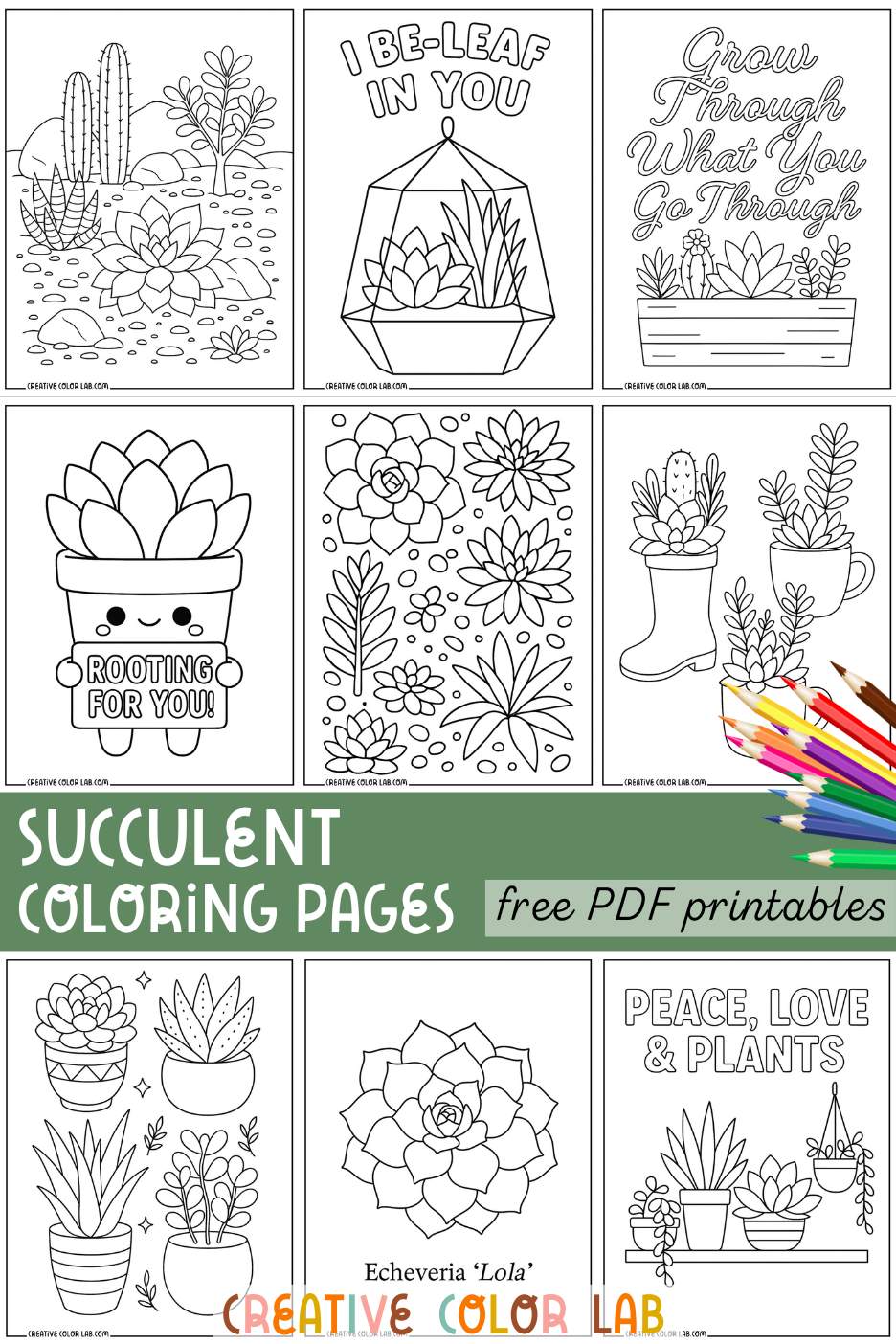 A nine-grid succulent coloring pages.