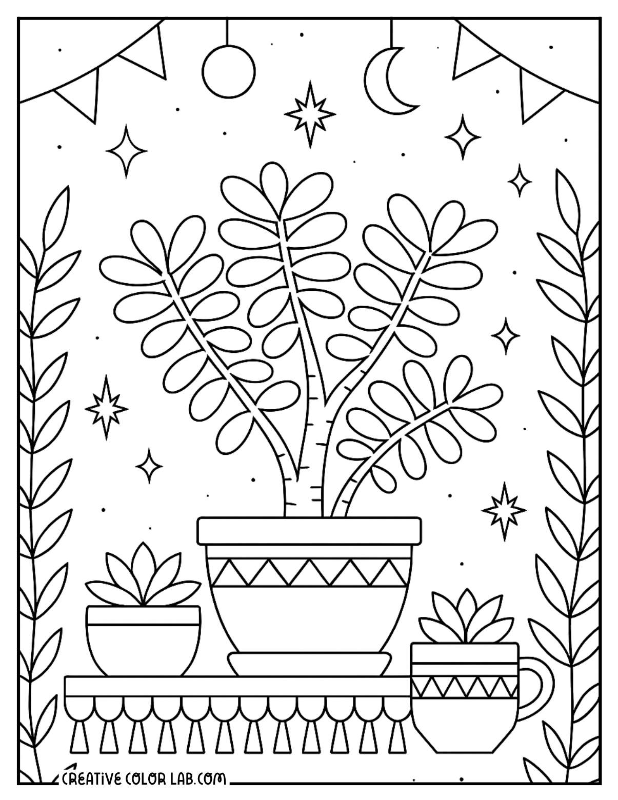 A jade plant on shelf detailed boho coloring page.