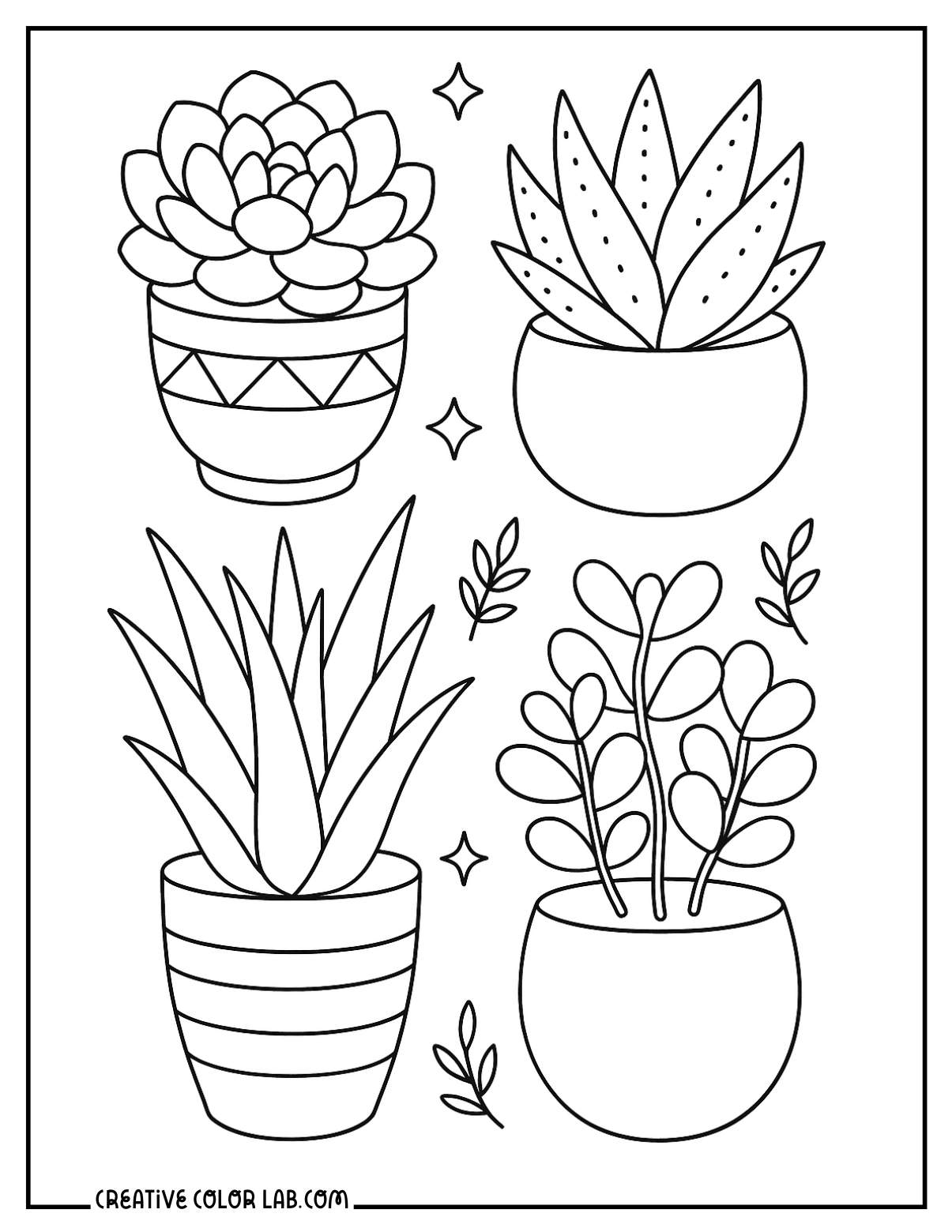 A collection of potted succulents coloring sheet.