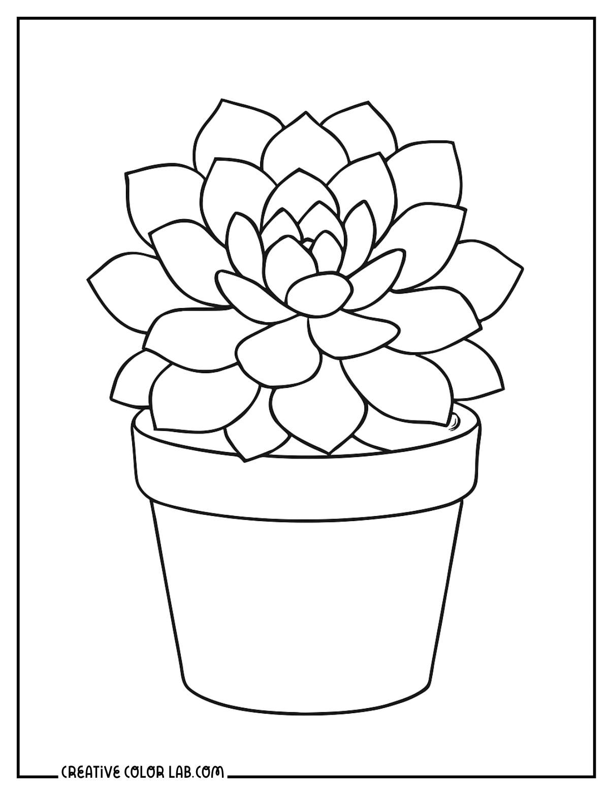 A simple succulent in a pot line art to color in.