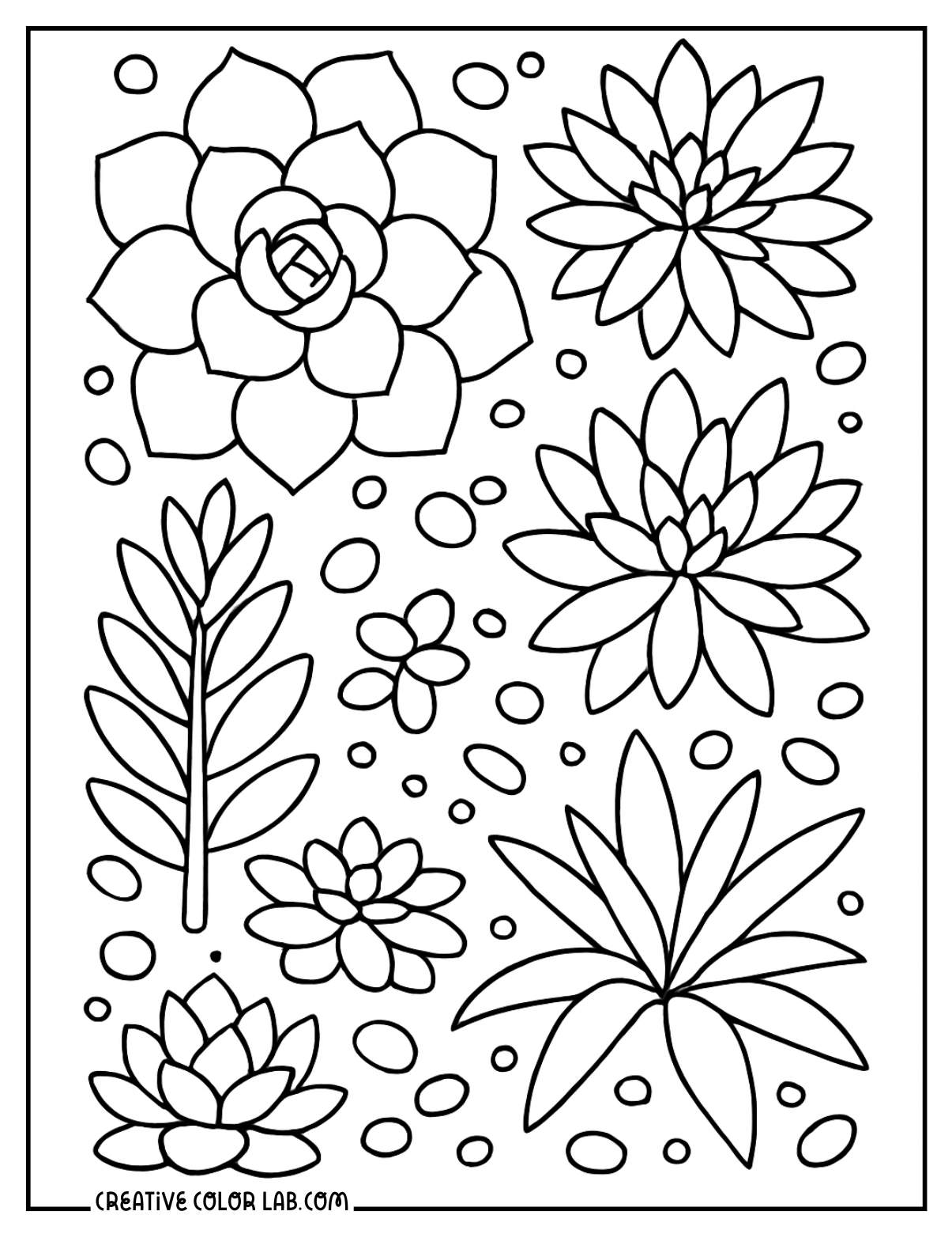 A variety of succulent doodles coloring sheet.