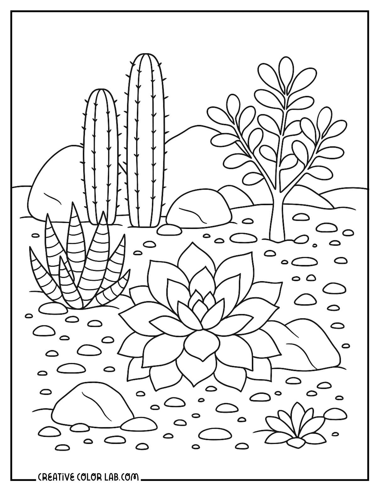 A xeriscape succulent garden line art to color in.